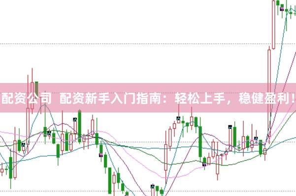 配资公司  配资新手入门指南：轻松上手，稳健盈利！
