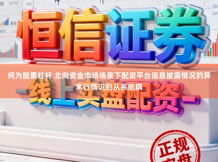 何为股票杠杆 北向资金市场场景下配资平台信息披露情况的异常行情识别从系统耦